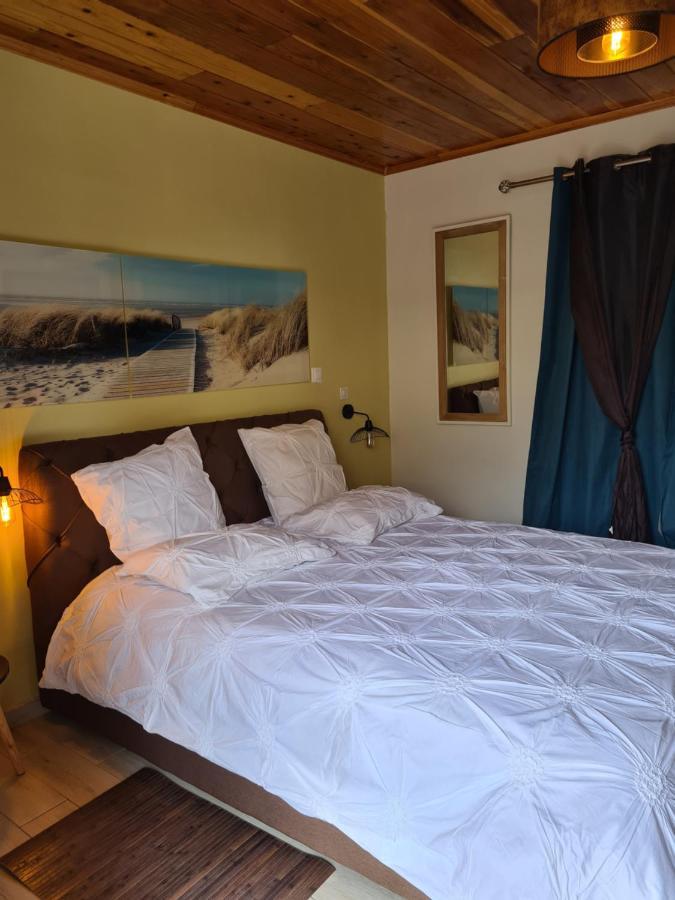 Chambres Et Tables D'Hote Du Voyageur La Plaine des Palmistes Eksteriør bilde
